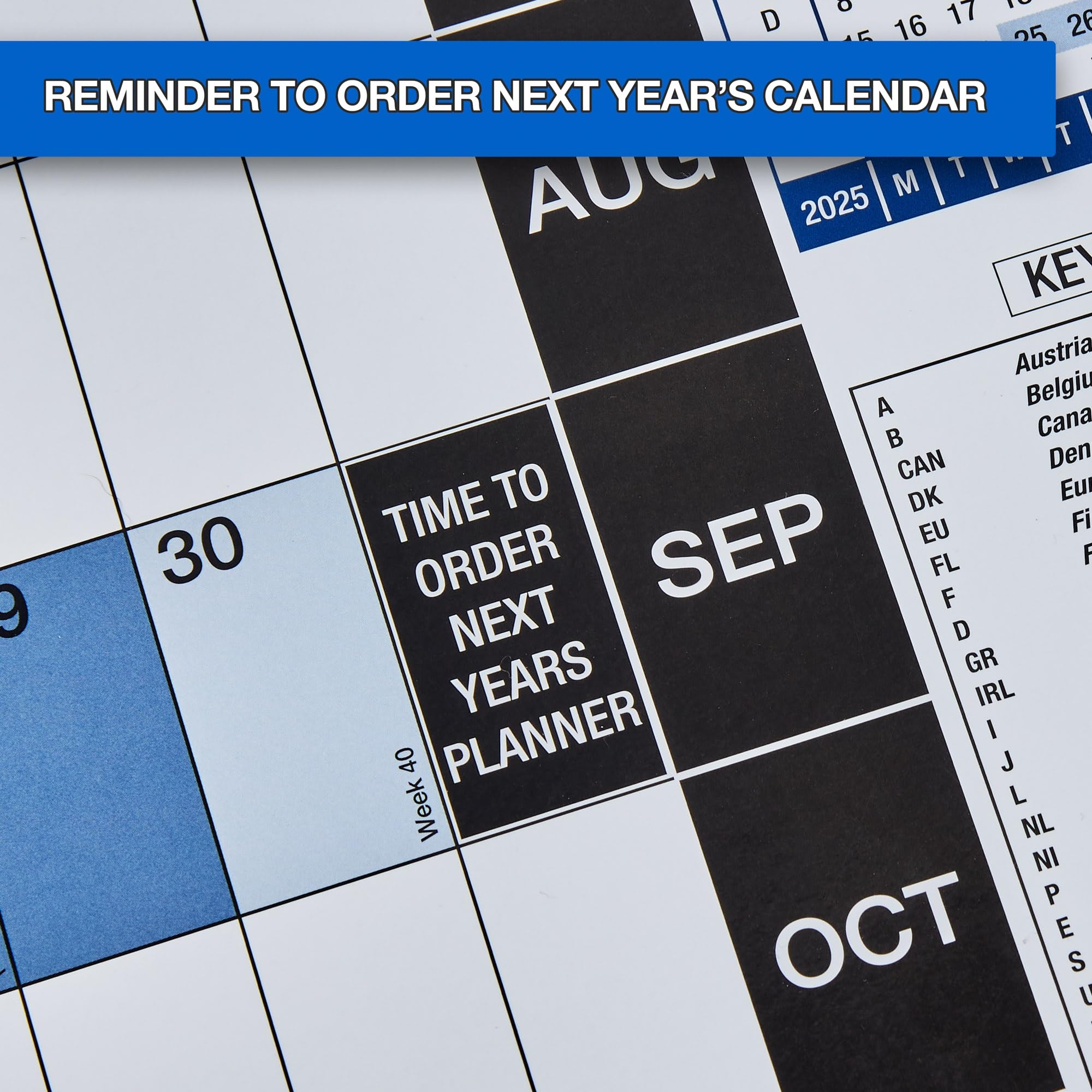 2025 Wall Planner Large 90cm X 60cm Mounted On Board Dry Wipe Office Wall Calendar With Sticky Labels And Drywipe Marker Amazon co uk Stationery Office Supplies