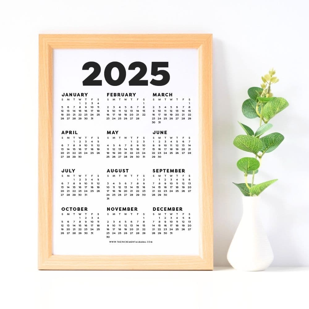 Printable 1 Page 2025 Calendar