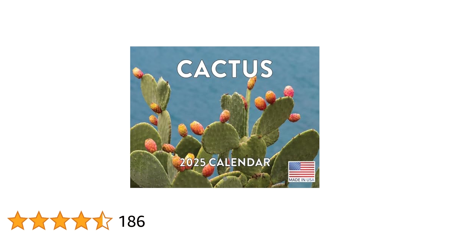 Amazon Cactus Calendar 2025 Monthly Wall Calender 12 Month American Made In The USA Office Products