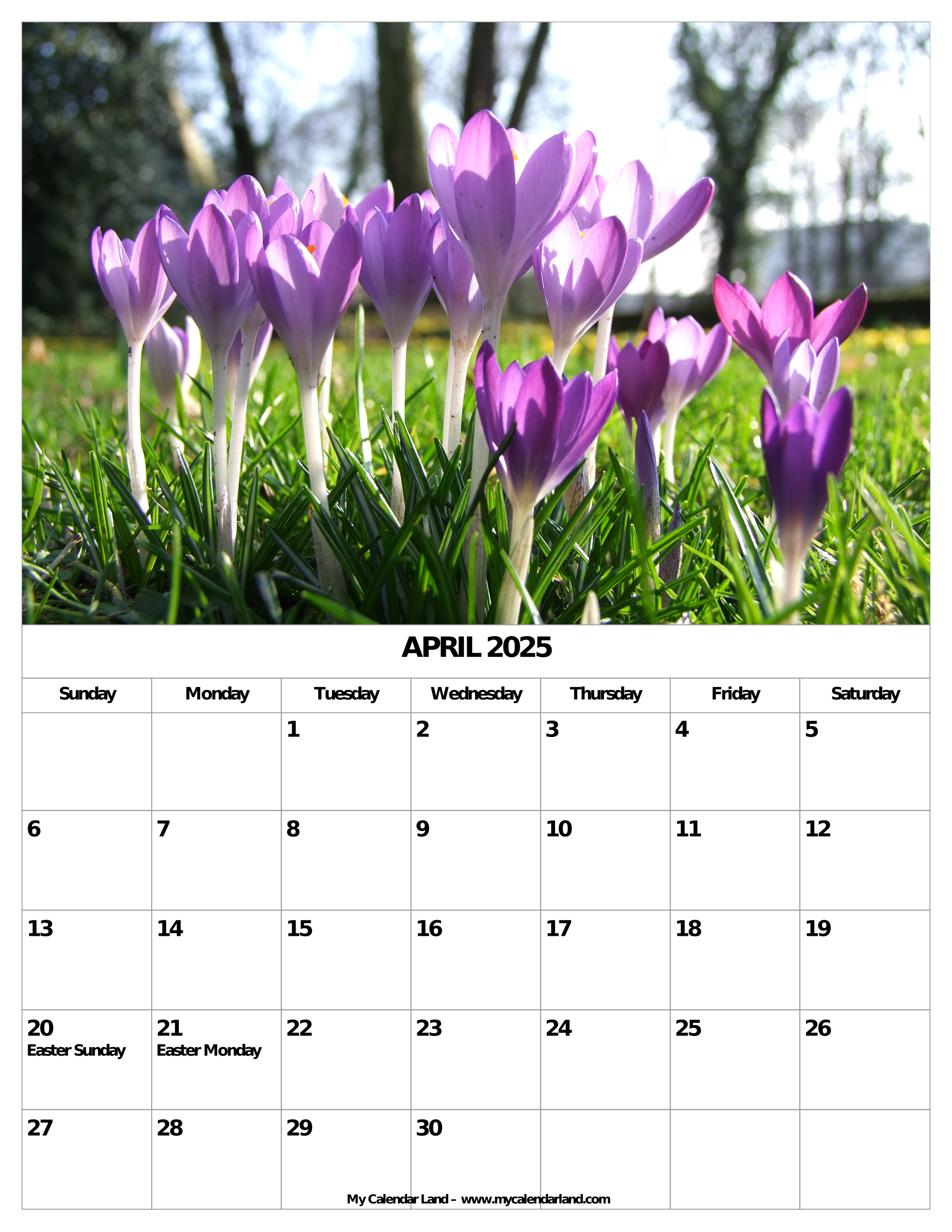 April 2025 Calendar My Calendar Land