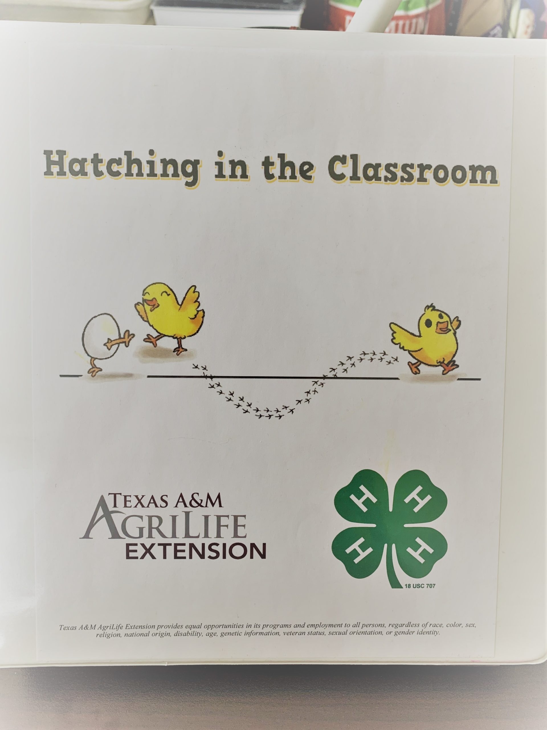 Printable Hatching Eggs Calendar