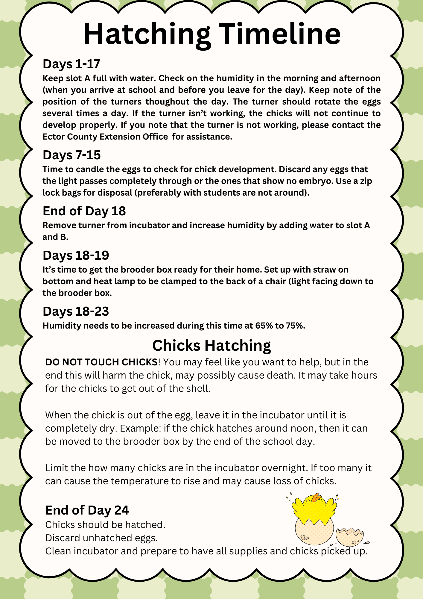 Hatching In The Classroom Ector