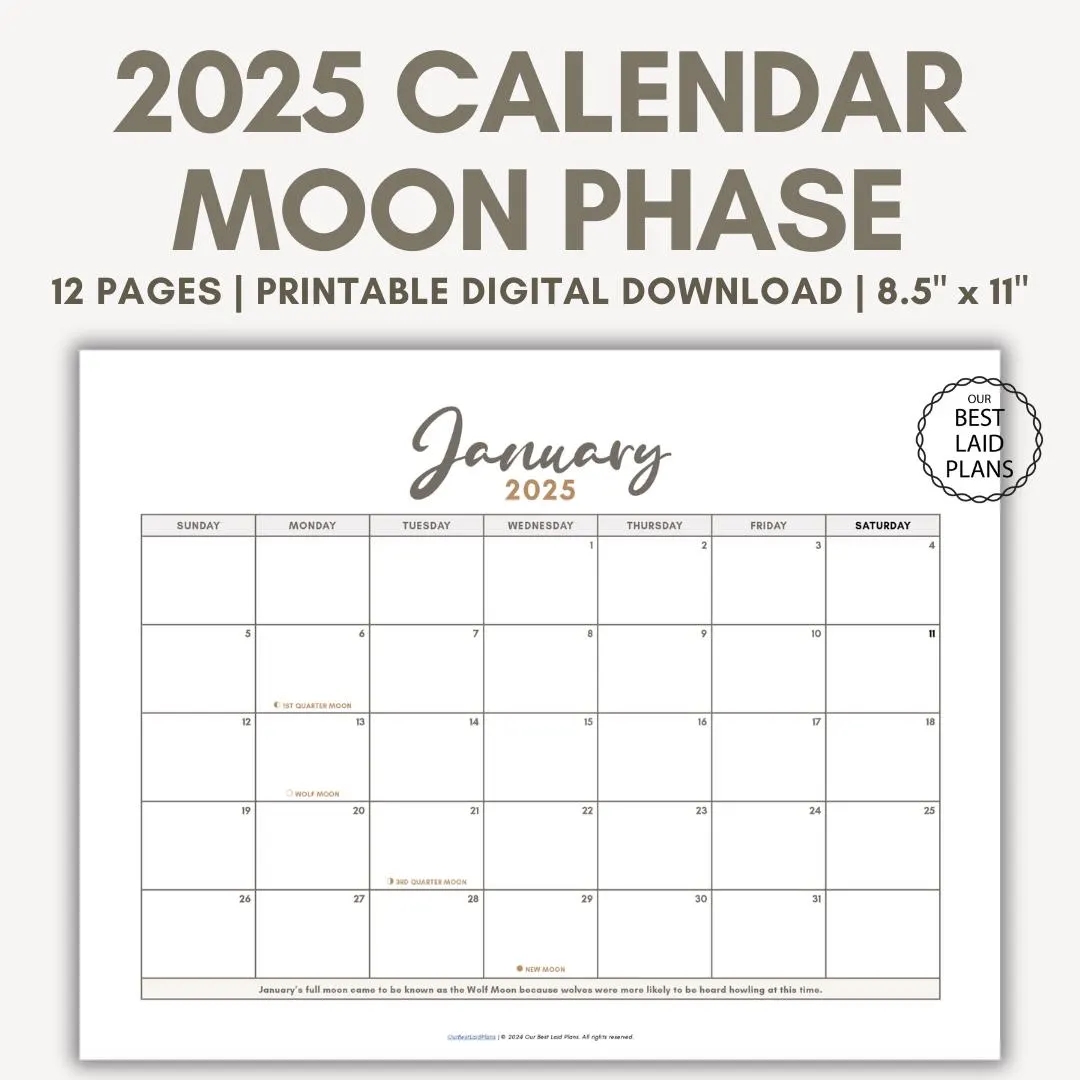 Moon Phase Today Calendar Moon Phase Calendar Printable Current Moon Chart Calendar Moon Stages Calendar Lunar Phase Calendar 2025 Etsy