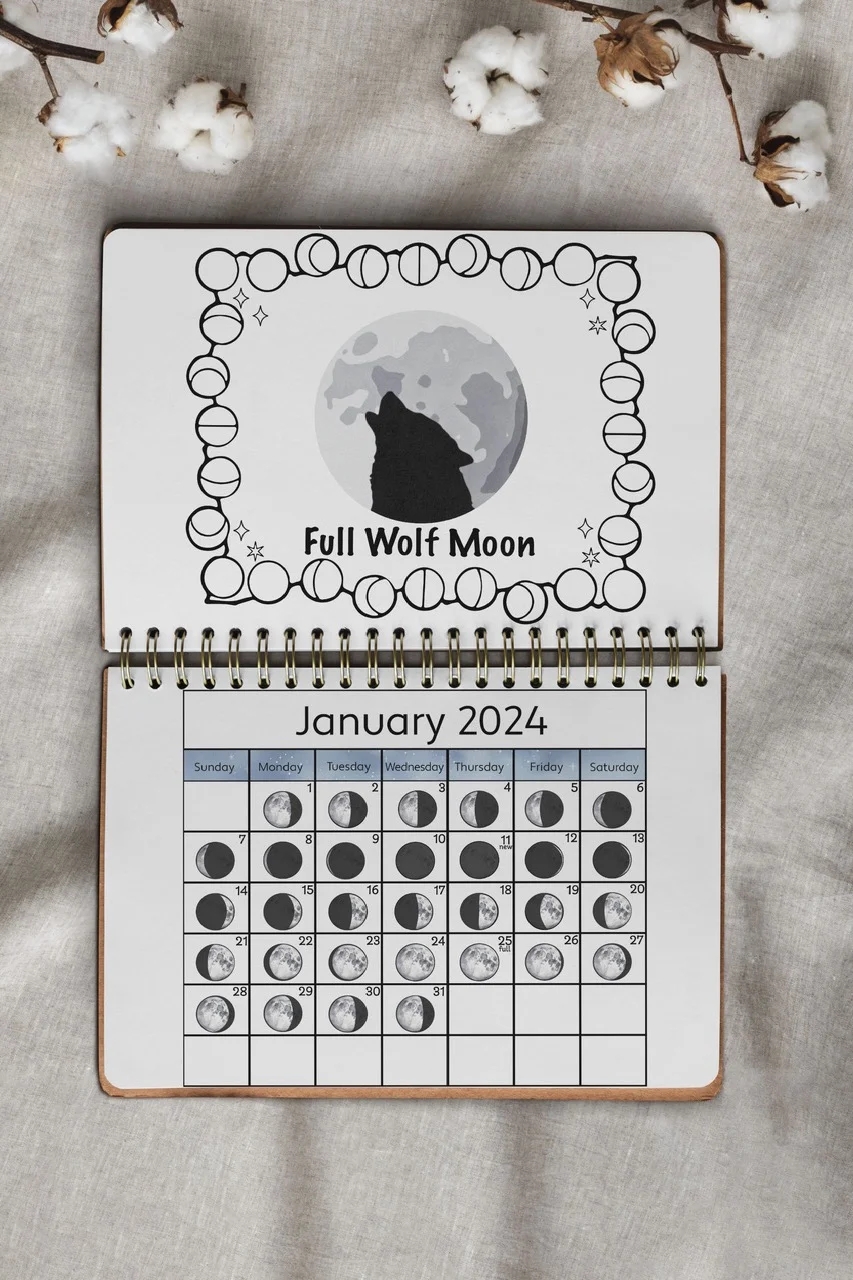 Wild Moon Calendar 2025 Acorns And Aprons